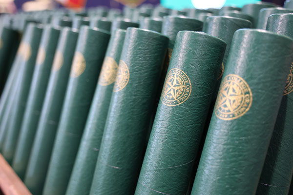 Diploma Tubes