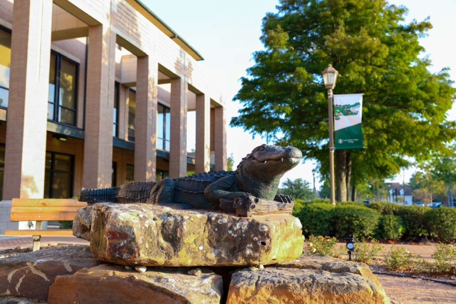 LSCO Gator