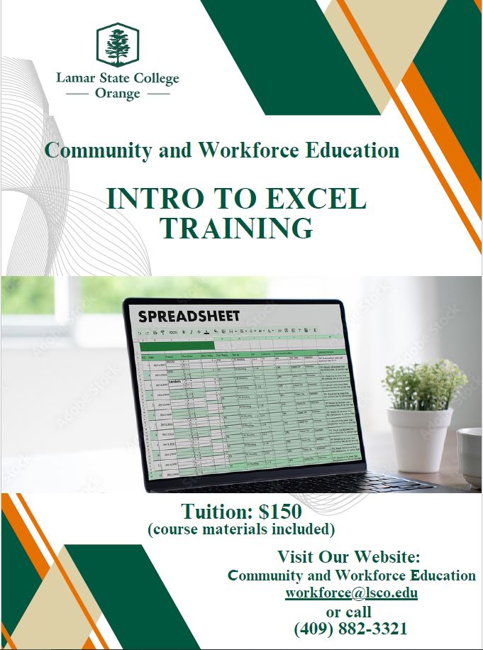 Intro to Excel Pic