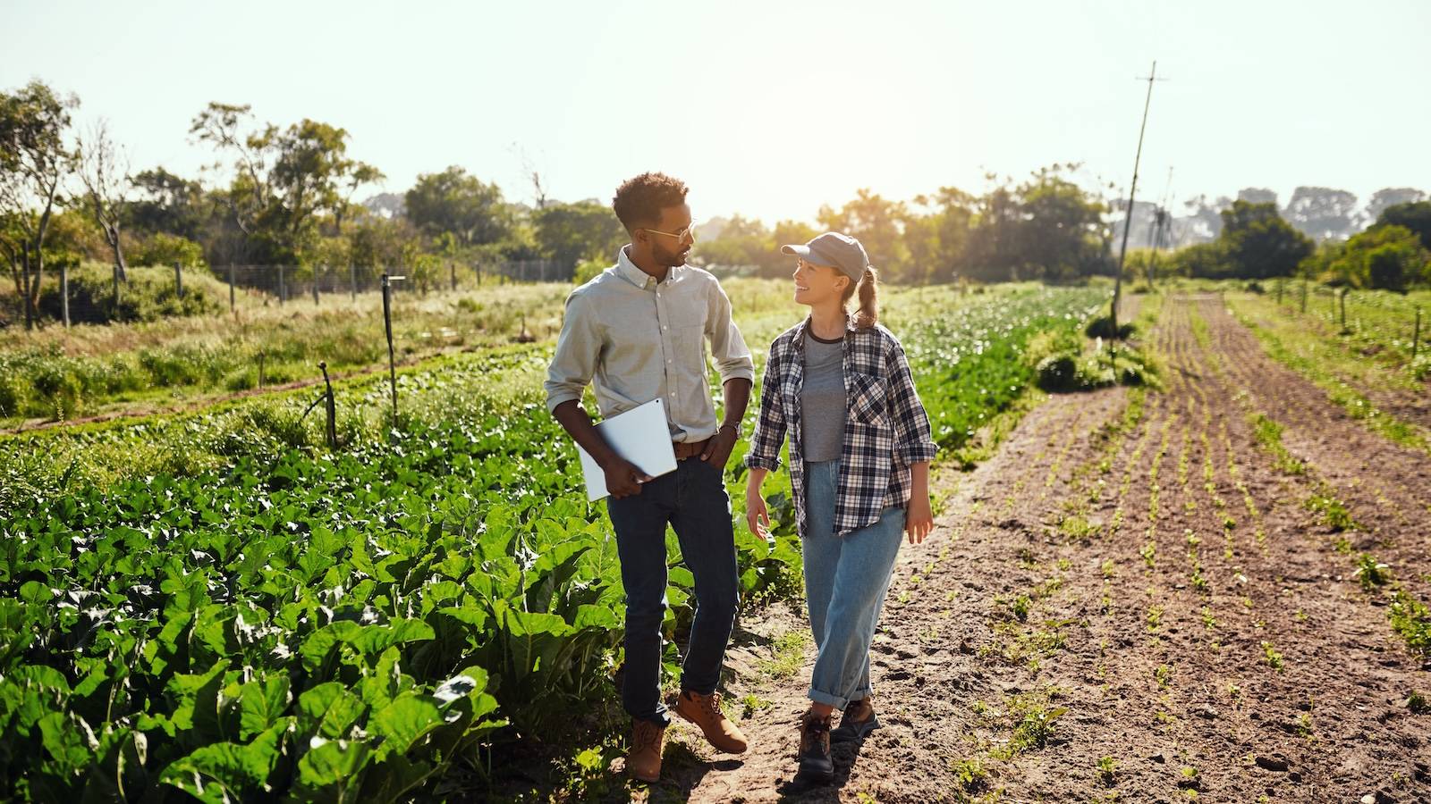 two agribusiness professionals walking through field