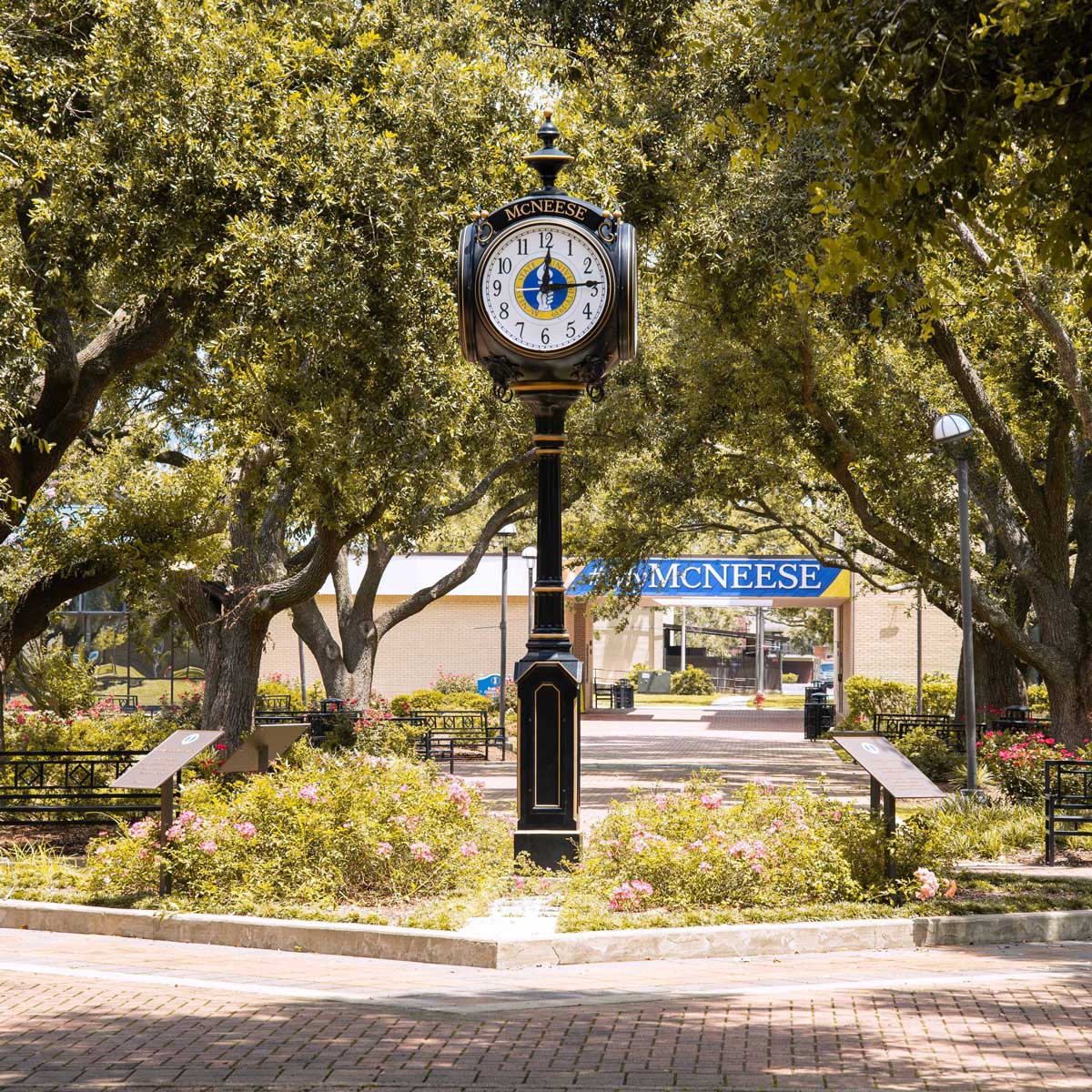 McNeese University Campus